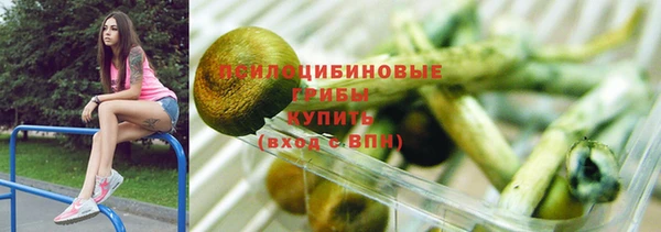 бошки Алзамай